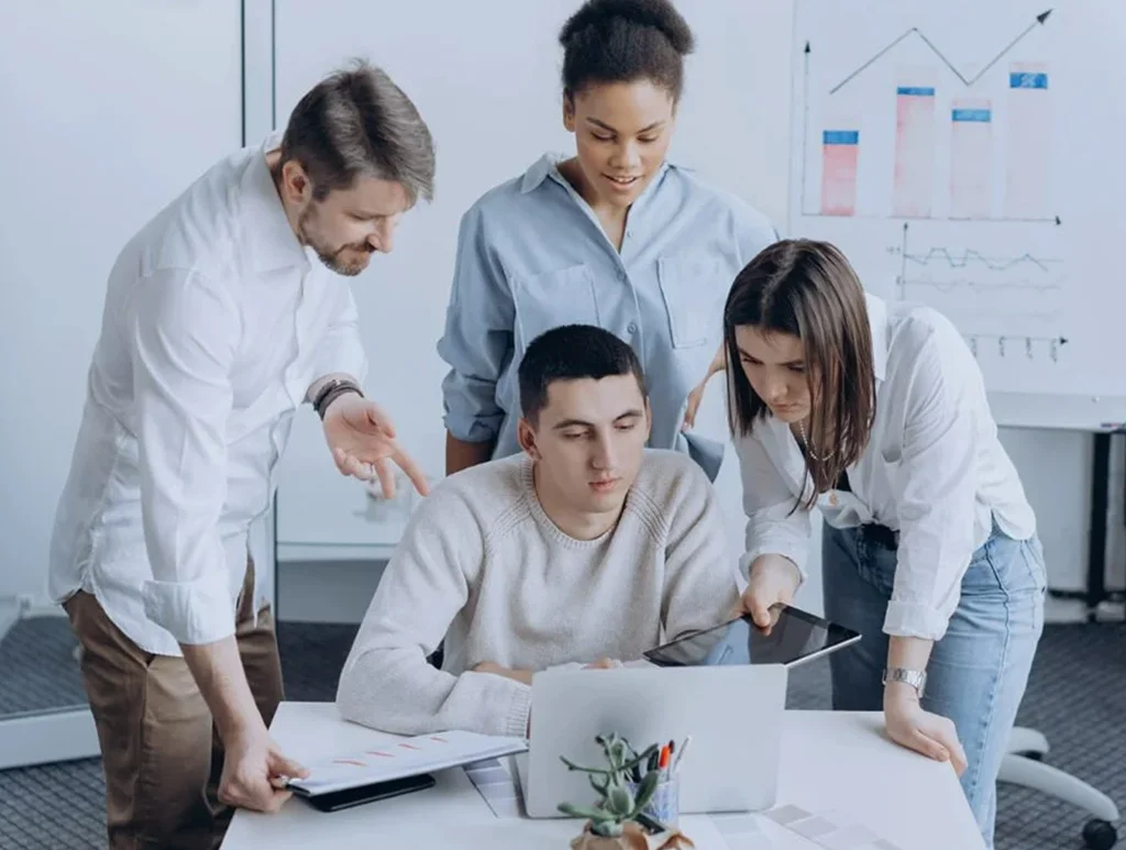 Web Development Team